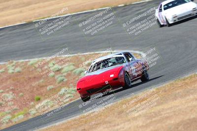 media/May-06-2023-Lucky Dog Racing (Sat) [[8f2256f436]]/Turn 2 10a/